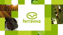 Terraviva19