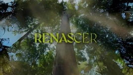 Renascer24aber