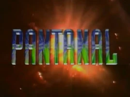 Pantanal1990