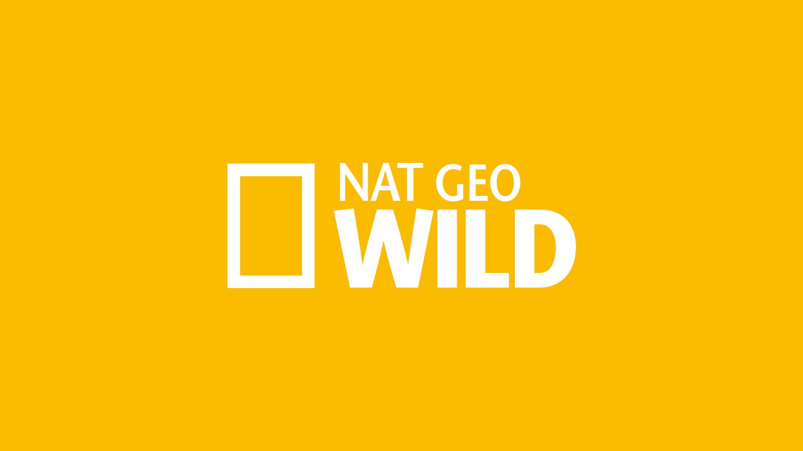 телеканал нат гео вайлд. нат гео вайлд. Nat wilder. канал national geographic wild. Nat wilder.