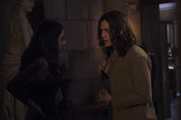 Jordan shadowhunters shop