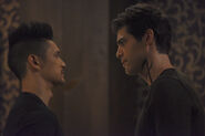 TMI207promo Malec09