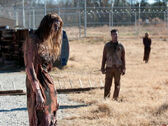 TW 3X16 Walkers