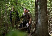 The-walking-dead-episode-601-glenn-yeun-3-935