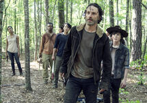 TWD 501 003