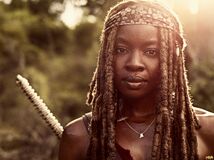 T9Michonne (1)