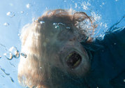 FTWD 201 Walker Underwater