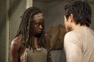 File 204829 1 Michonne and Glenn