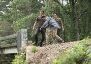 TWD 510 GP 0904 0202