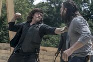 TWD 902 JLD 0514 0292 RT