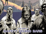 Volume 3: Safety Behind Bars