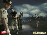 Twd25-600x350