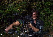 The-walking-dead-episode-813-daryl-reedus-935