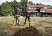 Walking-dead-120