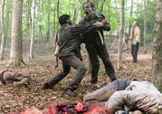 TWD 806 JLD 0619 0852-RT-GN