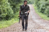 TWD 806 JLD 0619 1206-RT