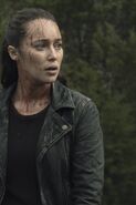 FTWD 501 RG 1212 0428 RT