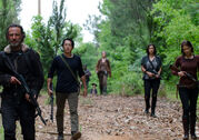 TWD-502-group