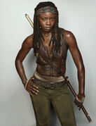 Michonne 5B02