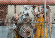 The-walking-dead-episode-711-walker-sanctuary-935