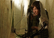 DarylPromo5