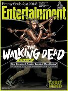 Walking-dead-Michonne-character-magazine-issues-03