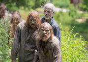 The-walking-dead-episode-608-walkers-4