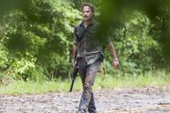 TWD 806 JLD 0619 1140-RT