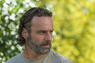 Rick Grimes 4 7x12