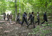 TWD-502-group3