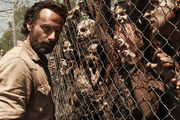 Rick Grimes Season 4