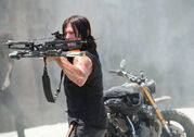 The-walking-dead-episode-601-daryl-reedus-935