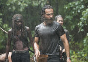 TWD 510 GP 0903 0249