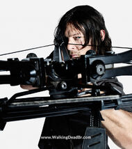 Daryl-T8-03