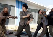 The-walking-dead-episode-601-glenn-yeun-4-935