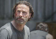 TWD 501 GP 0508 0166