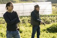 FTWD-306-11