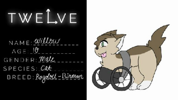 Willow.png