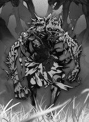 Nibi-Transformed