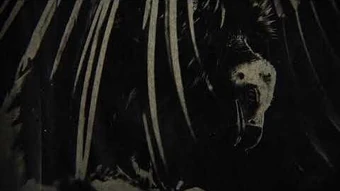 The Hype Twenty One Pilots Wiki Fandom Twenty one pilots — the hype 04:10. the hype twenty one pilots wiki fandom