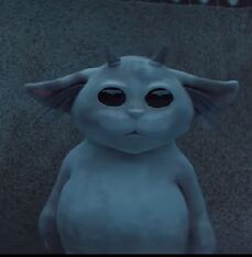 Ned