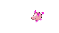 Noisepedia Pig Cha-Cha