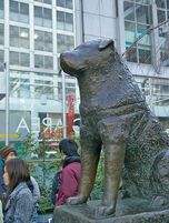 Hachiko