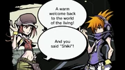 And you said shiki