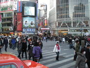 Typical crowd at the Scramble Crossing