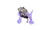 Wolf Noise