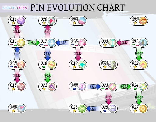 Pin em The Evolution