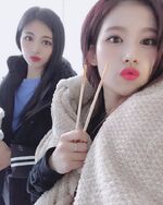 SaTzu IG Update 181121