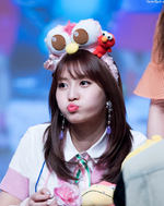 Momo fan meet 170527