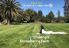 Chaeng’s Strawberry Farm